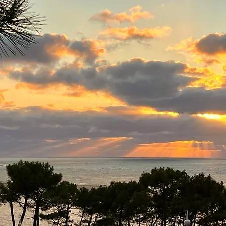 Le Cocon Des Dunes - Vue Mer, Plage&corniche A Pied Lejlighed