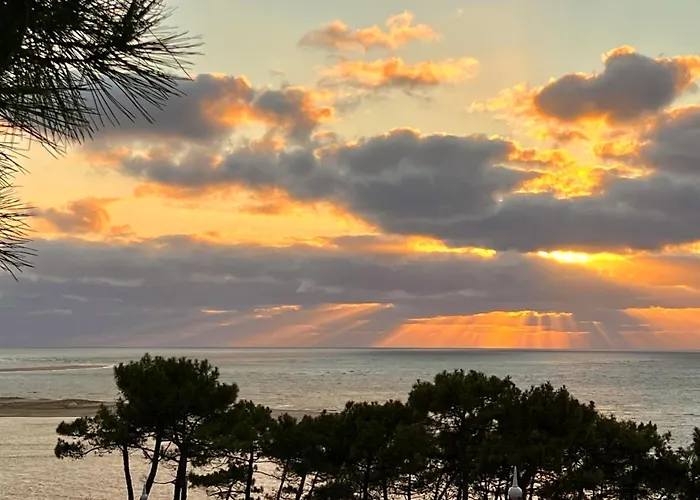 Le Cocon Des Dunes - Vue Mer, Plage&corniche A Pied Lägenhet